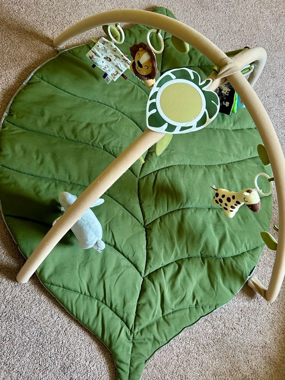 Blissful Diary Baby Play Gym and Activity Mat - 6 Detachable Toys